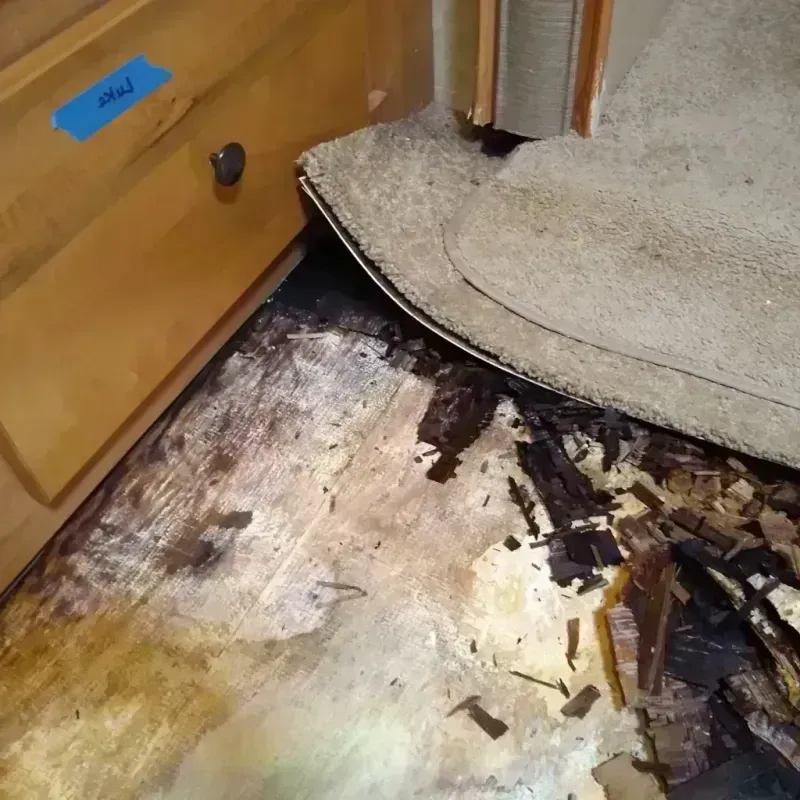 Wood Floor Water Damage in Marvell, AR